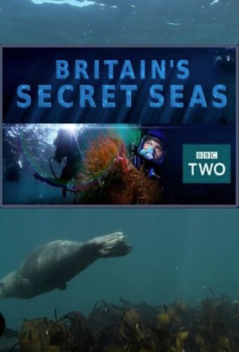 Britain's Secret Seas