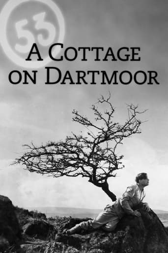 A Cottage on Dartmoor