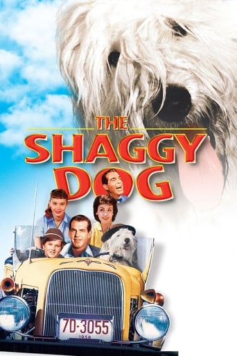 The Shaggy Dog