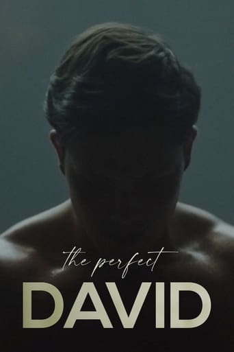 The Perfect David