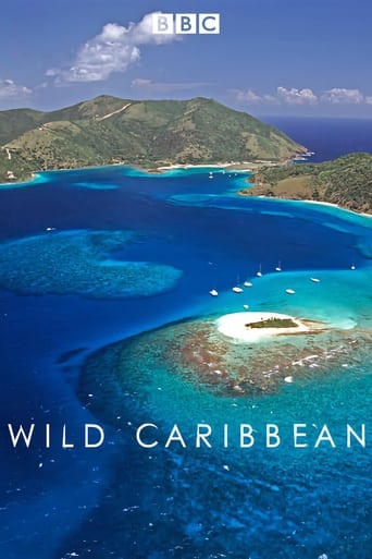 Wild Caribbean